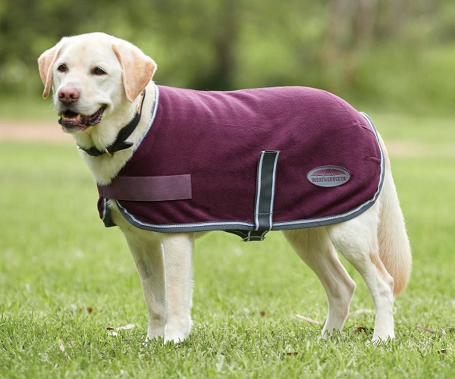 Weatherbeeta Comfitec Fleece Dog Coat image 0